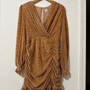 Velvet Leopard Print Dress